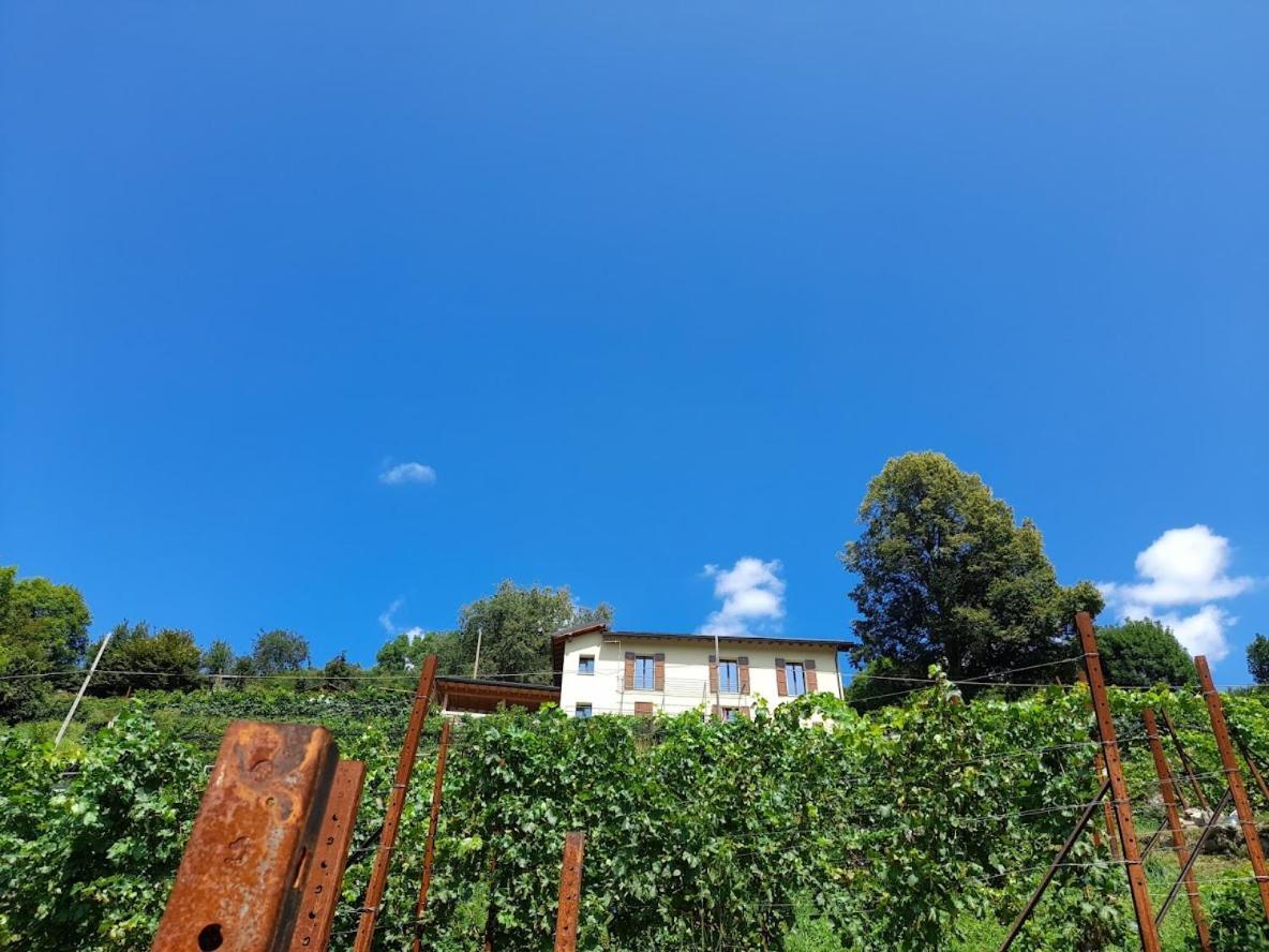Villa Cascina Teresina Veleso Exterior foto